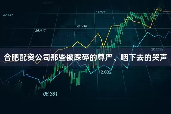 合肥配资公司那些被踩碎的尊严、咽下去的哭声