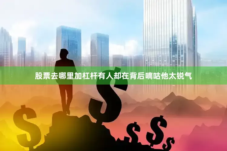 股票去哪里加杠杆有人却在背后嘀咕他太锐气